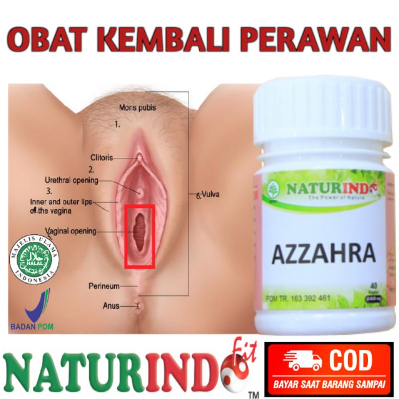 OBAT KEMBALI PERAWAN OBAT PERAPAT MISS V SPESIAL KEWANITAAN HERBAL AZZAHRA NATURINDO BISA COD