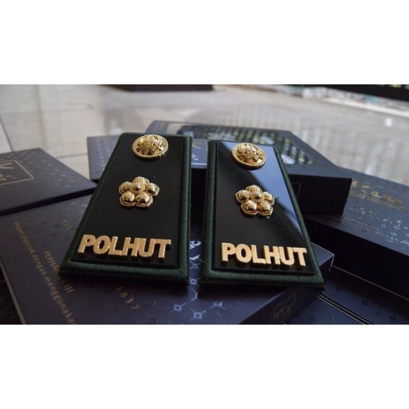 PANGKAT POLHUT GOLONGAN 3D