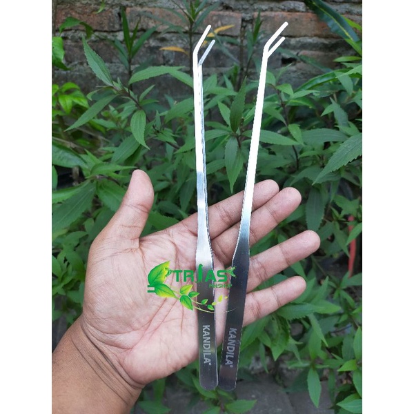 pinset bengkok 27cm/AQUASCAPE/JAPIT/STAINLESS/KANDANG/TWEEZER/PINSET TANAMAN/REPTIL/TUMBUHAN