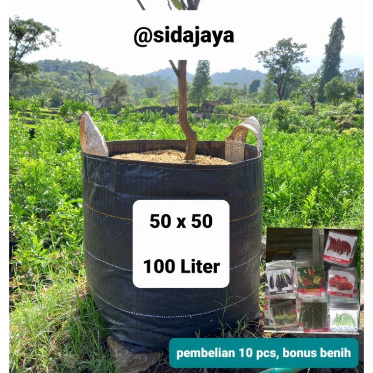 pot tanaman planter bag tanaman durian dan anggur 100 liter polybag hitam tebal