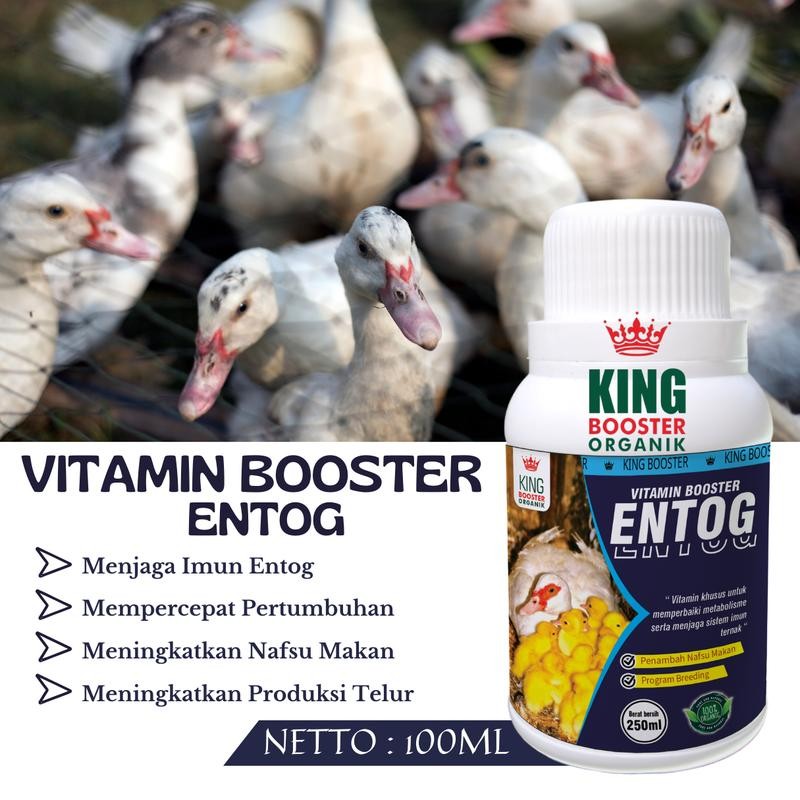 Vitamin Penggemuk Unggas Entok / Mentok 100ml , Penambah Nafsu Makan Ternak Penambah Berat Entok
